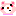 kuma