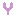 Y