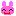 うさぎ