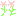 コスモス