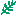 葉っぱ