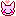 動物