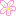 ハゴロモジャスミン