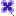 クローバー➎
