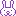 ウサギ