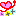 kepo
