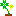 葉っぱ