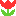 ・。゜花。・゜。