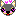 チワワ