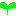 芽
