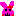 うさぎ
