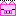 ブタ ・・・・・・・・