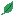 葉っぱ