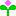 つぼみ