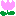 ちゅりっぷ