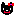 黒猫