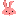 卯