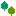 樹