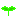 芽