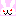 うさぎ