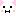 ねこ