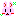 うさぎ