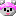 ひよ