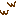 ww