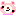 kuma