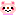 kuma