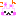 こん　うさぎ