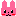 うさぎ