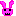 うさぎ