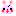 うさぎ