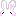うさぎちゃん♡２