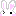 うさぎちゃん♡１１