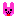 うさぎ