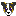 犬