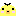 ピヨコ♪
