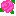 rose5