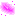 桜の花びら？