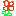 お花