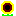 ひまわり