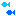 魚