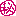 maruhi