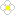 お花（白色、ホワイト）