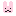 うさぎ