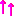 ↑↑