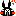 うさぎ くろ　怒る