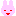 うさぎ